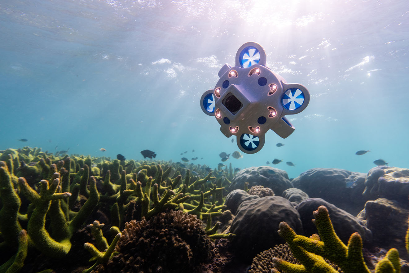 A roughly square robot underwater, with four propellors at each corner. It hovers over a seabed of ocean vegetation.