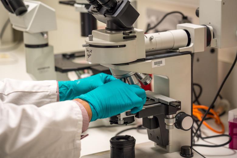 A National Measurement Institute scientist using a microscope. 