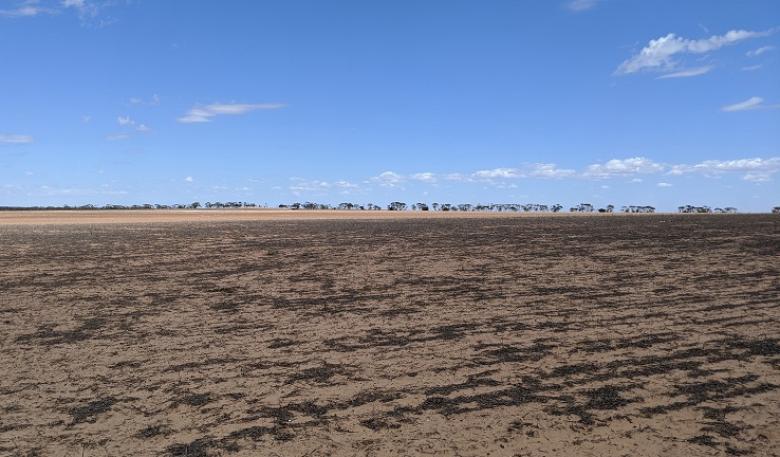 Photo of the Napandee site